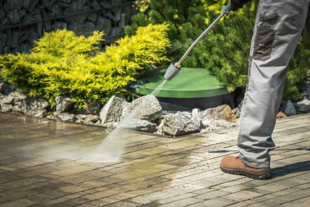 Best Roof Cleaning and Mildew Removal in Apple Valley, MN
